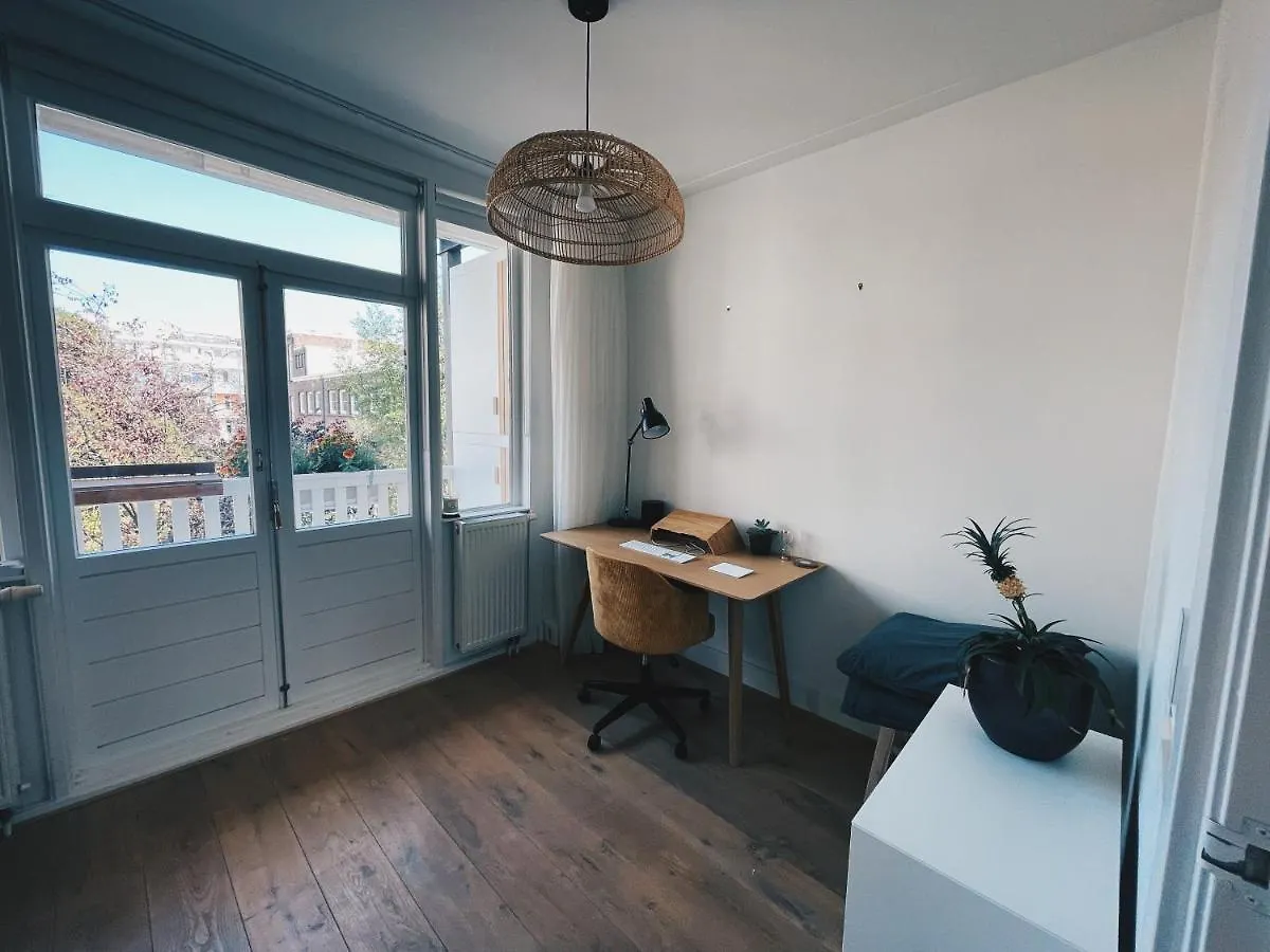 Spacious Designer Duplex Next To Central Park Amsterdam